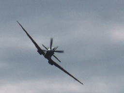 [Spitfire]