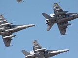 Hornets Return