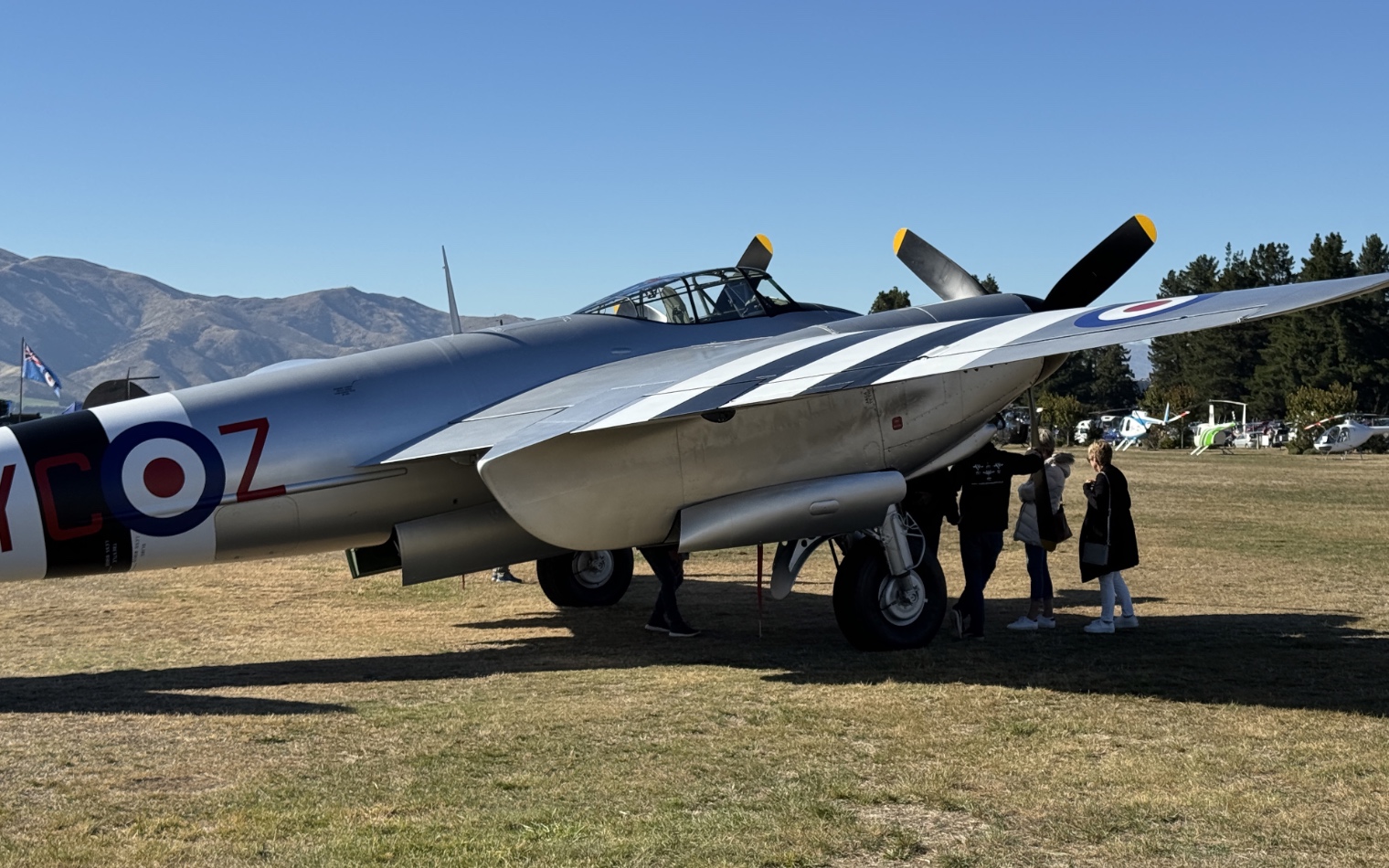 Mosquito on Ground