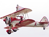Wing Walker