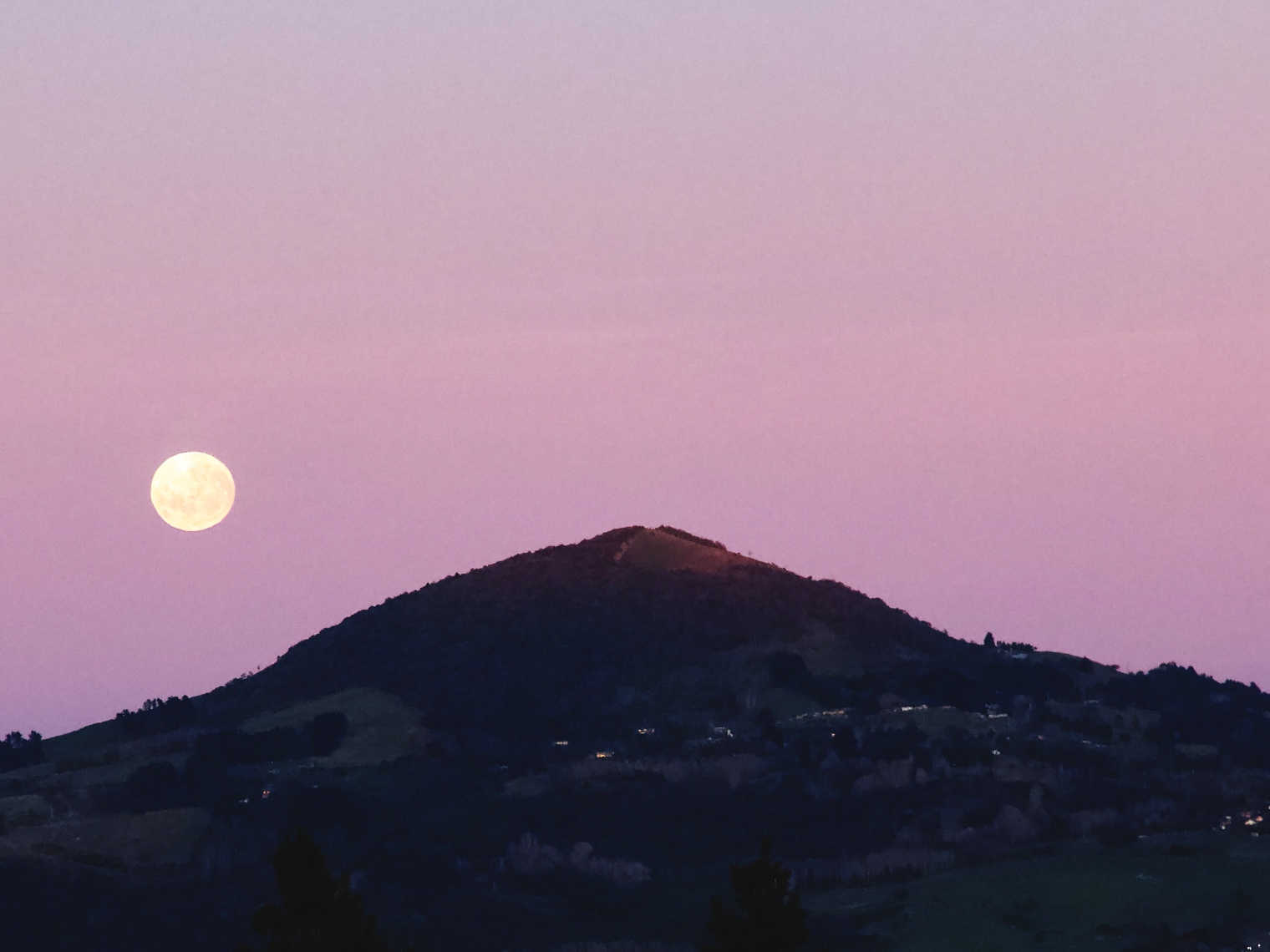 Blue Moon