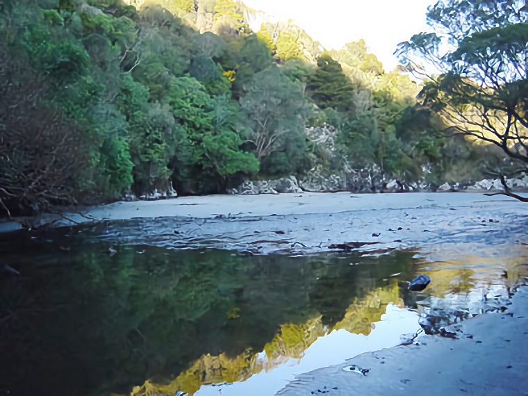 Bull Creek 2004