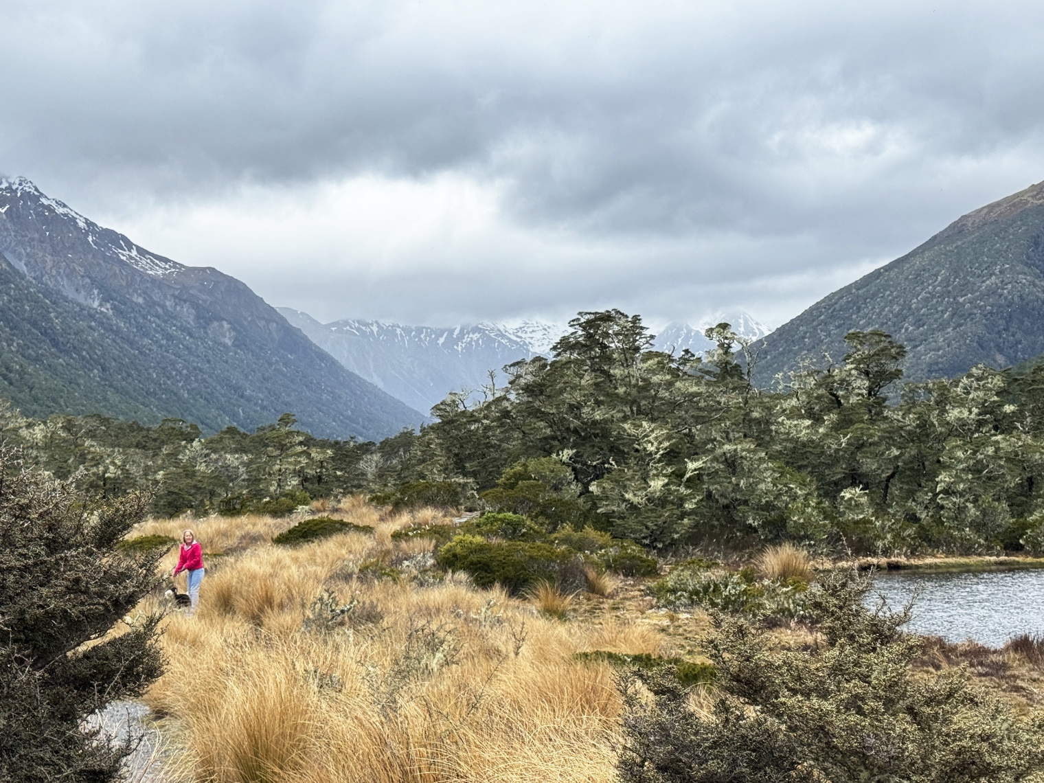 Lewis Pass