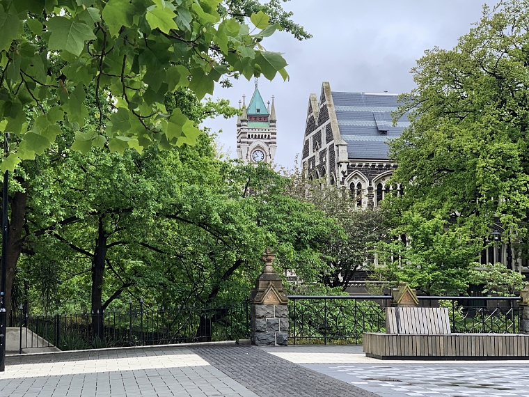 Clocktower Trees