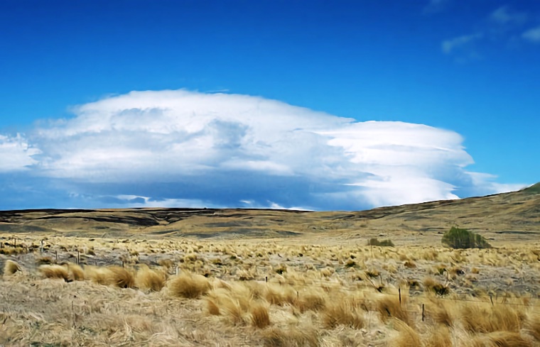 Tussock and Sky