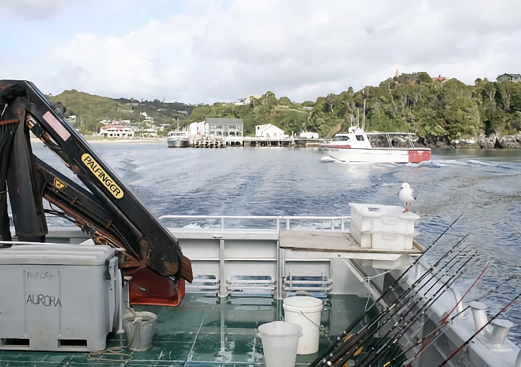 Stewart Island 2009