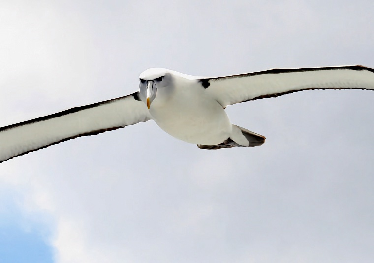 Stewart Island 2009