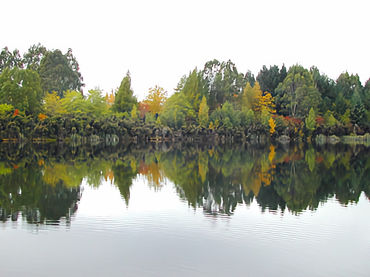 Te Anau 2003