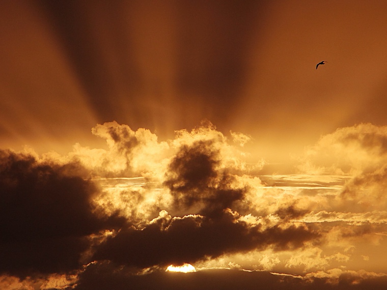 Crepuscular Rays
