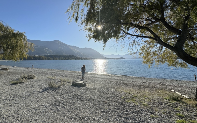 Wanaka Shore