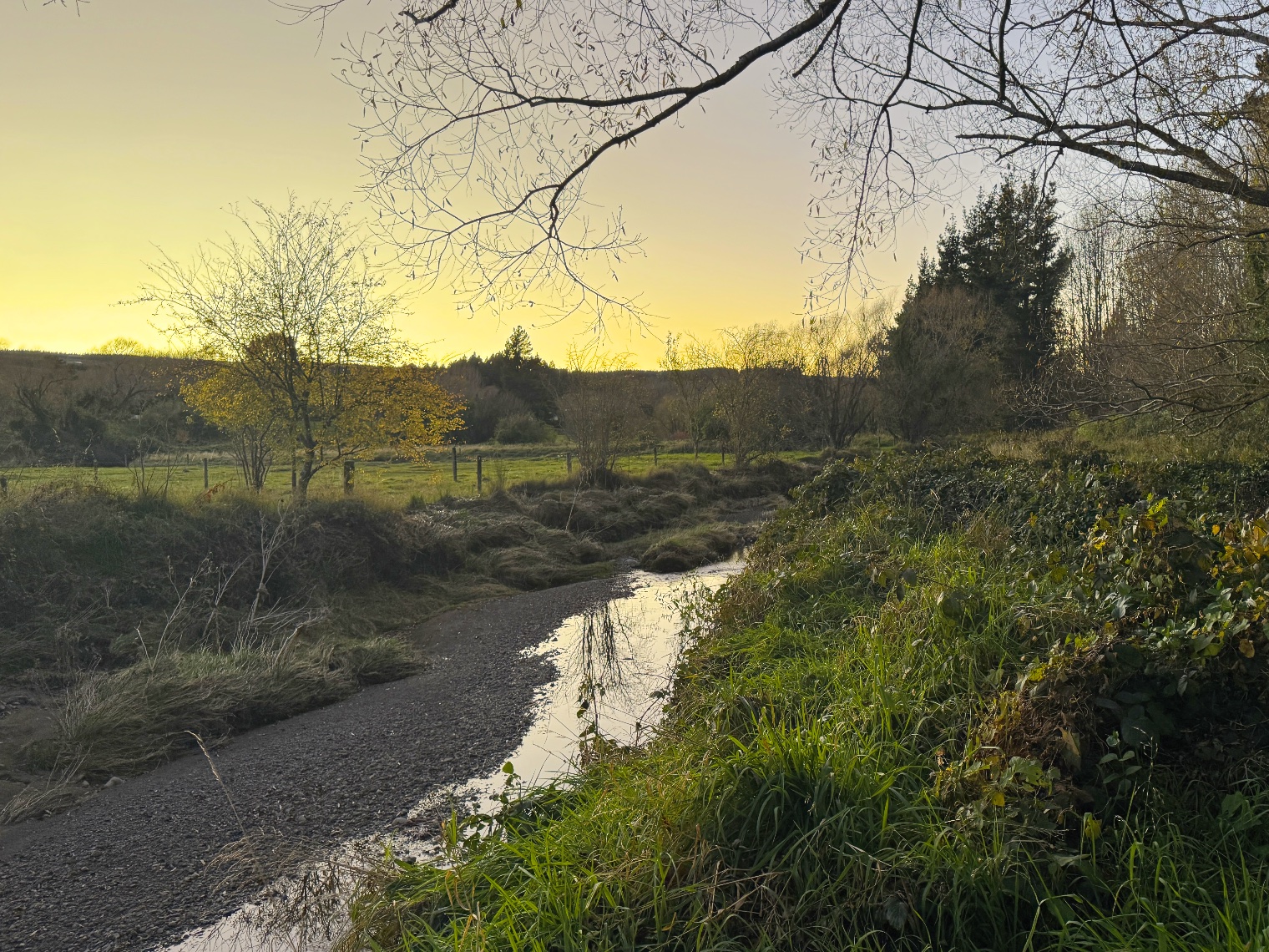 Loburn Sunrise