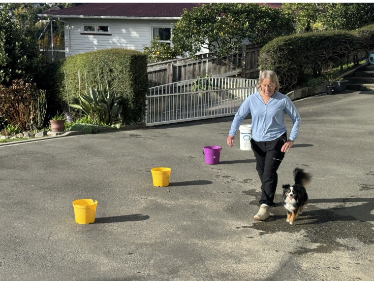 Rally Practice