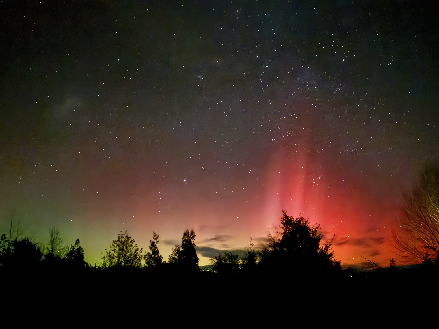 Nelson Aurora