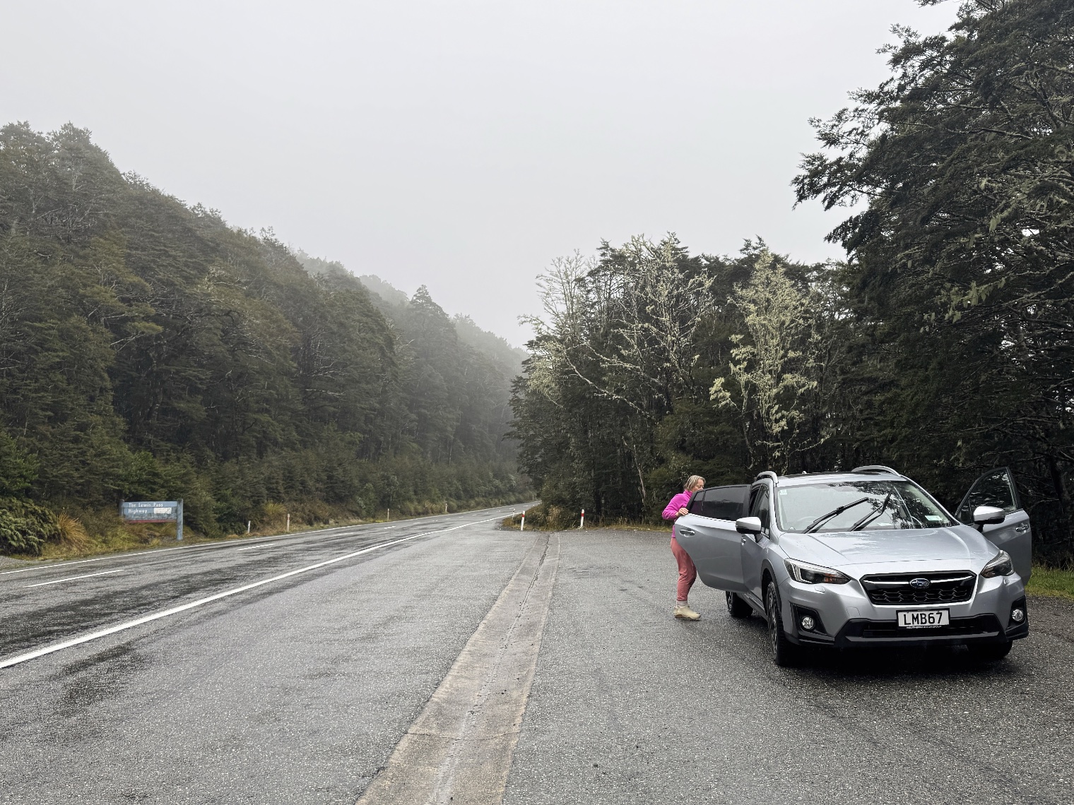 Lewis Pass