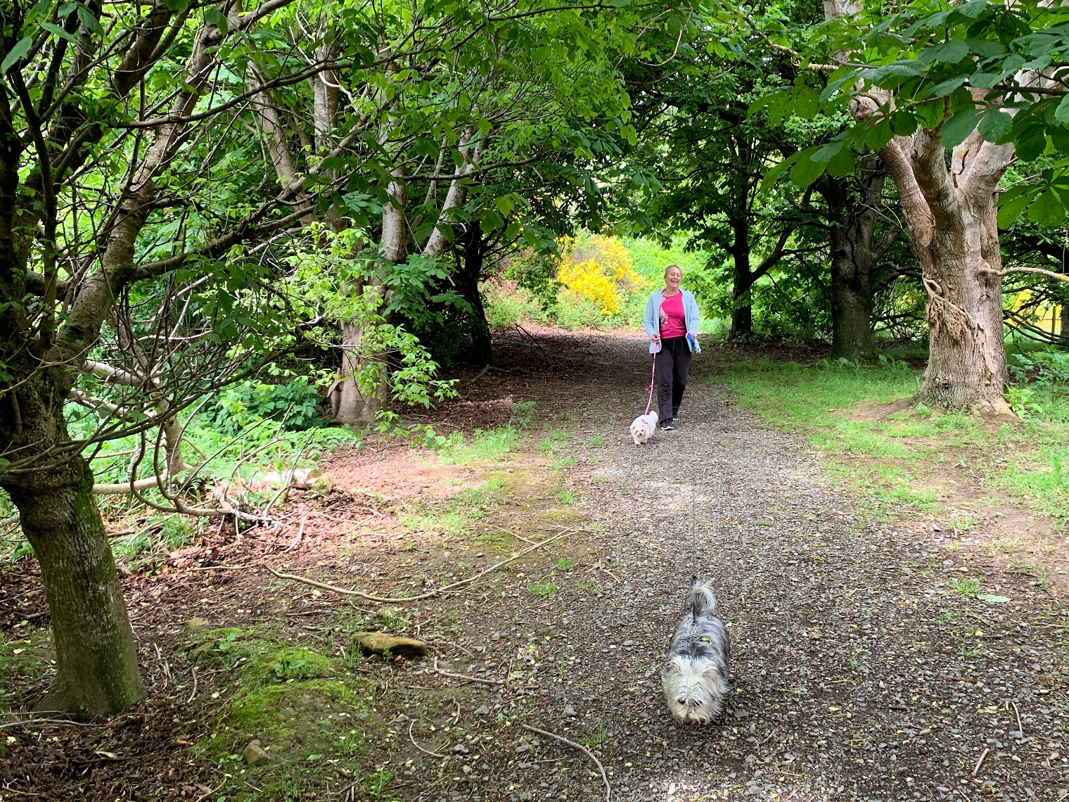 Bush Walk