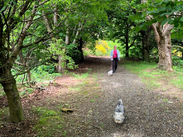 Bush Walk