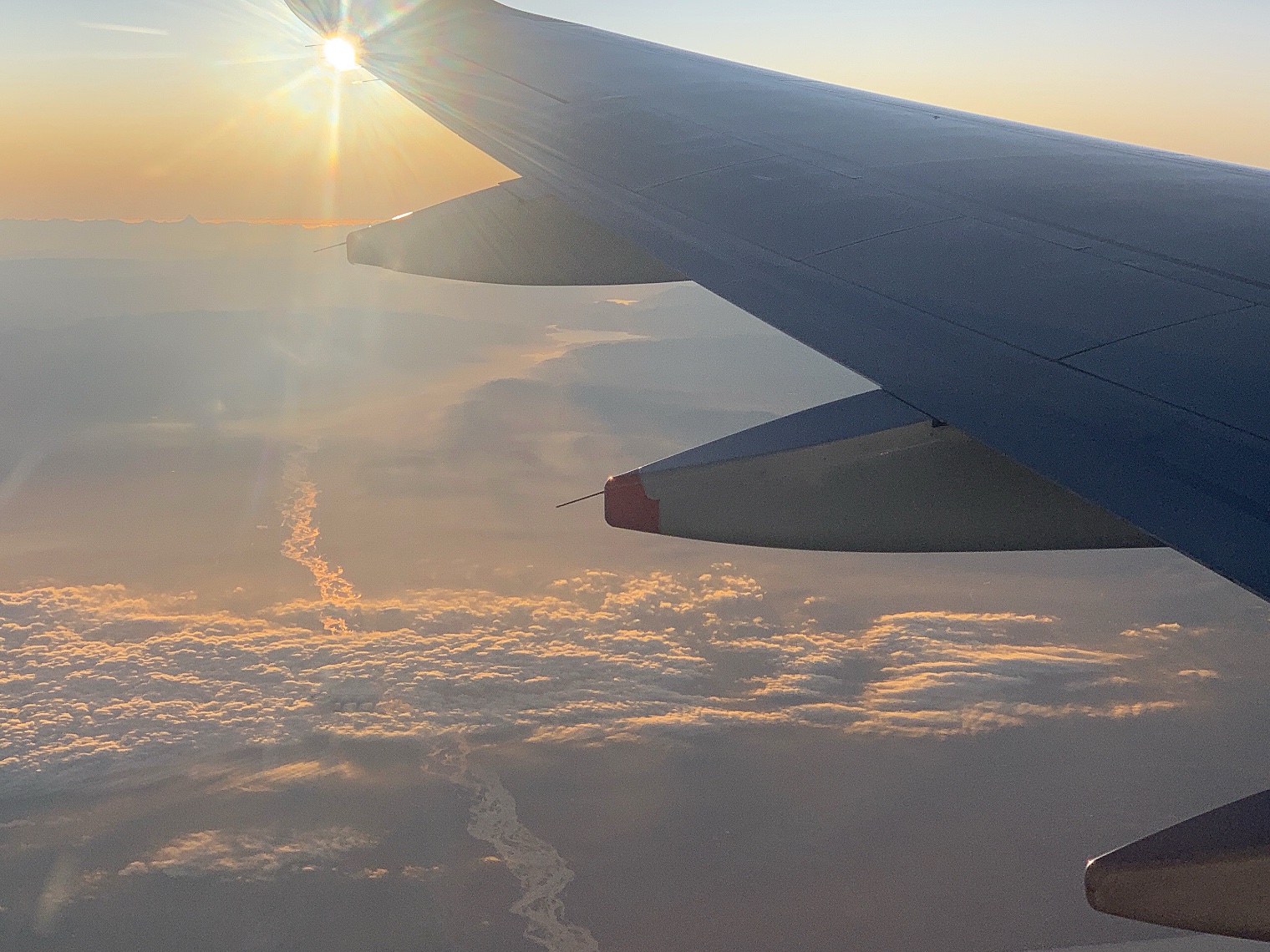 Sun and Wing